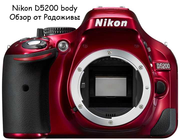 Высокое разрешение и чувствительность матрицы Nikon D3100
